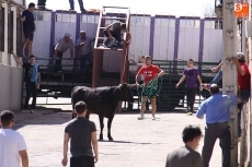 Foto 4 - Excelente ambiente en el primer encierro de las fiestas con reses de Martín Cillero