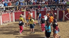 Foto 4 - Las peñas imprimen toda la animación a las Fiestas del Toro