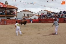 Foto 6 - Buena afluencia de público en el segundo encierro con reses de Martín Cillero
