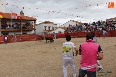 Foto 5 - Buena afluencia de público en el segundo encierro con reses de Martín Cillero