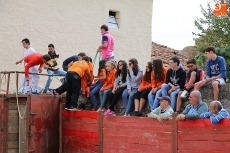 Foto 4 - Buena afluencia de público en el segundo encierro con reses de Martín Cillero