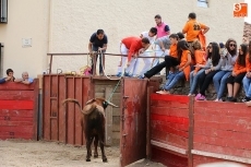 Foto 3 - Buena afluencia de público en el segundo encierro con reses de Martín Cillero