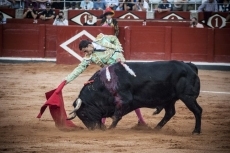 Foto 6 - Ovación a la honradez de Ureña en el sexto