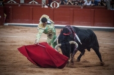 Foto 5 - Ovación a la honradez de Ureña en el sexto