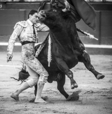 Foto 4 - Ovación a la honradez de Ureña en el sexto