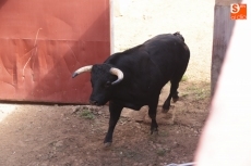 Foto 4 - Sorteados los toros para Pablo Hermoso, Castella y Juan del Álamo