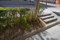 Foto 4 - 1Foto: Alertan de la falta de riego de jardines en la calle Santa Clara