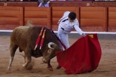 Foto 6 - Otra oreja para un soberbio Del Álamo que sale en hombros junto a Castella