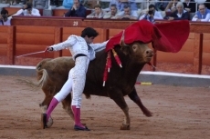 Foto 3 - Otra oreja para un soberbio Del Álamo que sale en hombros junto a Castella