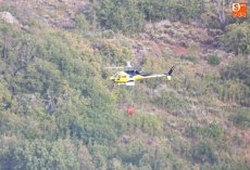 Foto 4 - Medios terrestres y aéreos controlan un fuego en Masueco