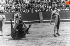 Foto 6 - La Glorieta como talismán