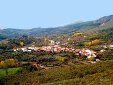 Foto 4 - Gran devoción al Cristo