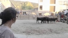 Foto 6 - Puerta grande para el Santo Cristo de la Piedad 