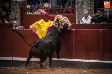 Foto 6 - Perera pasa la noche sin fiebre y tranquilo