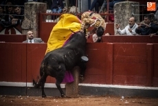 Foto 5 - Perera pasa la noche sin fiebre y tranquilo