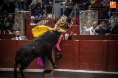 Foto 4 - Perera pasa la noche sin fiebre y tranquilo