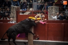 Foto 3 - Perera pasa la noche sin fiebre y tranquilo