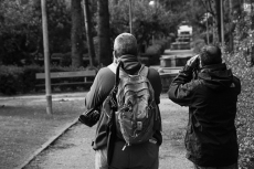 Foto 5 - La Sociedad Española de Ornitología (SEO) muestra las aves urbanas de Salamanca