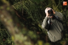 Foto 3 - La Sociedad Española de Ornitología (SEO) muestra las aves urbanas de Salamanca