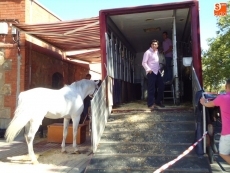 Foto 5 - Pablo Hermoso, Sergio Galán y Miguel Moura cierran esta tarde la Feria de Salamanca
