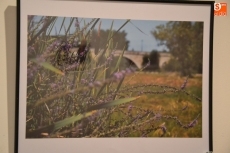 Foto 3 - Ángel Centeno gana el Concurso de Fotografía 2015 del Ayuntamiento