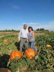 Foto 3 - Para calabazas, las de Villoria