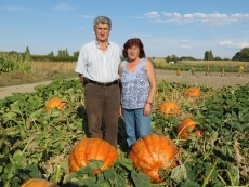 Foto 5 - Para calabazas, las de Villoria