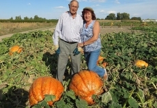 Foto 6 - Para calabazas, las de Villoria