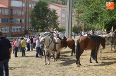 Foto 5 - Alta participación en Feria de Ganado, único acto de las Ferias de San Miguel 2015