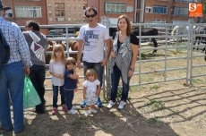 Foto 4 - Alta participación en Feria de Ganado, único acto de las Ferias de San Miguel 2015