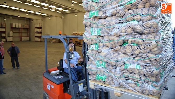 En Castilla y Le&oacute;n se cultiva el 40 % de la producci&oacute;n nacional de patata