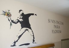 El arte del grafiti para humanizar y educar | Imagen 29