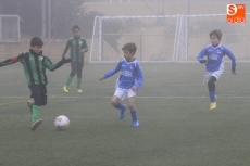 Foto 3 - Resultados de todas las divisiones de las ligas provinciales de categoría benjamín