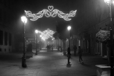 Foto 6 - Y la fiesta se hizo niebla