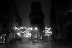 Foto 5 - Y la fiesta se hizo niebla