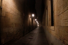 Foto 4 - Y la fiesta se hizo niebla