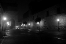 Foto 3 - Y la fiesta se hizo niebla