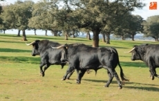 Foto 4 - La '15 de octubre' disfruta de su afición taurina en la finca de Juan Luis Fraile 