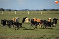 Foto 3 - La '15 de octubre' disfruta de su afición taurina en la finca de Juan Luis Fraile 