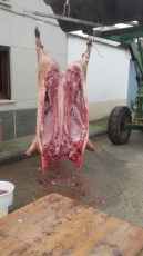 Foto 4 - Los 'Carretas' hacen la primera matanza de la temporada