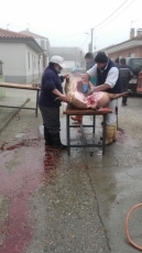 Foto 3 - Los 'Carretas' hacen la primera matanza de la temporada