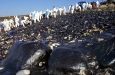 Foto 3 - Se acerca la hora: tic tac, tic, tac