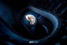 Foto 6 - El salmantino Alberto Muriel, elegido Mejor Fotógrafo de Boda del Año 2015