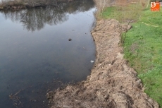 Foto 4 - Riberas del Águeda pide que se complete la intervención iniciada entre los dos puentes