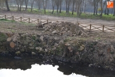 Foto 3 - Riberas del Águeda pide que se complete la intervención iniciada entre los dos puentes