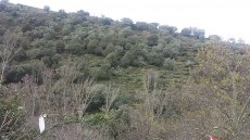 Foto 2 - Monter&iacute;a en Pere&ntilde;a de las que crean afici&oacute;n