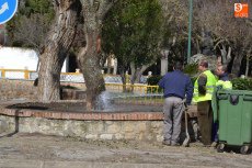 Una encina de más de 6.000 kilos se convierte en el nuevo Árbol Gordo