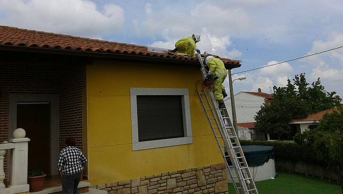 Los bomberos de Lumbrales retiran varios enjambres de abejas en distintos municipios  