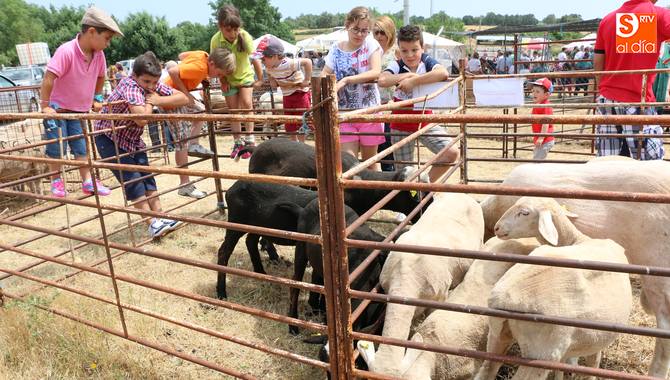Ovino y vacuno serán las especies de mayor protagonismo en la feria / CORRAL