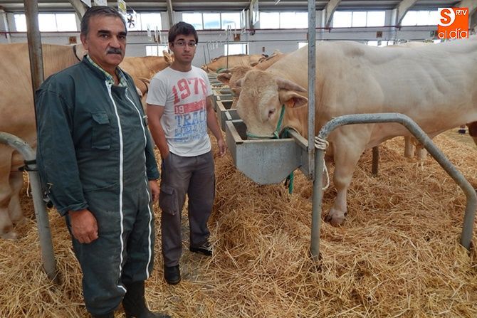 Julio y Sergio Gómez, junto a uno de los ejemplares de su ganadería, en Salamaq